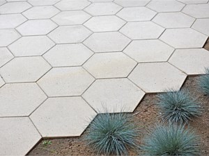 Hexagonal Pavers 11